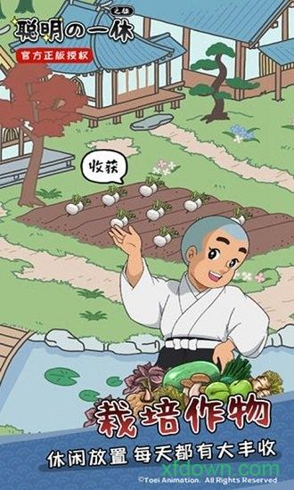 聪明的一休之旅游戏截图2