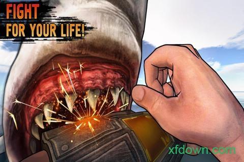 海洋木筏生存汉化版截图1