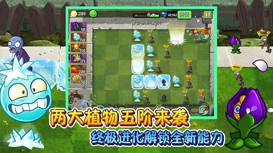 植物大战僵尸2平安时代最新版截图3