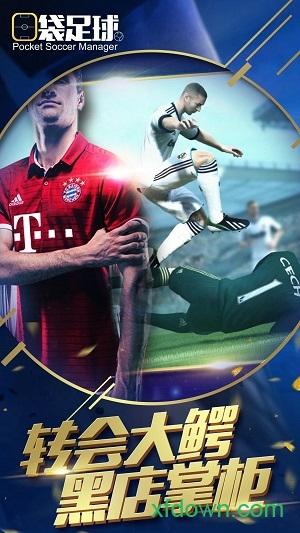 口袋足球手游截图1
