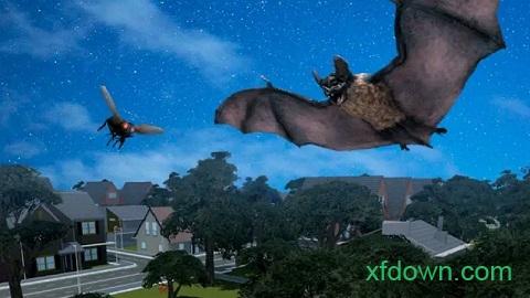 大眼蝙蝠大冒险游戏截图2