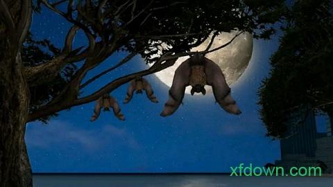 大眼蝙蝠大冒险游戏截图0