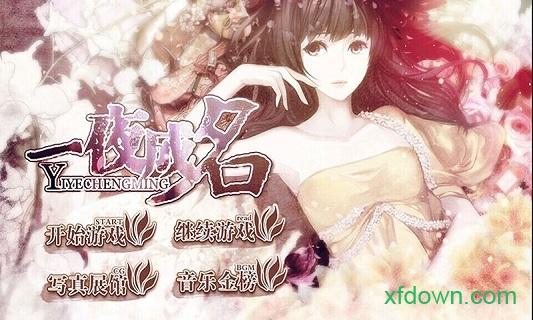 一夜成名游戏免费版截图1