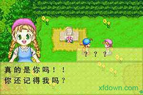 牧场物语矿石镇的伙伴们中文版