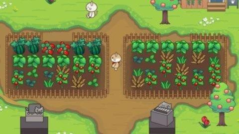 喵咪斗恶龙最新版截图2