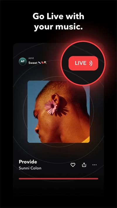 tidal截图1