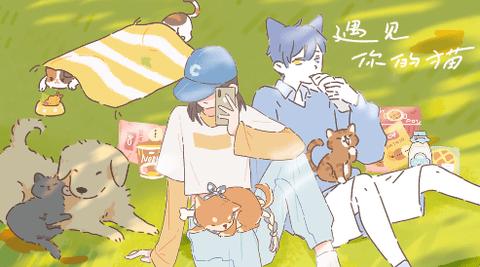 遇见你的猫攻略版