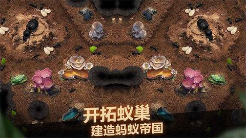 小小蚁国国际服内购破解版截图3