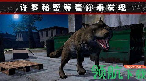 我的流浪生涯手游正式版截图1