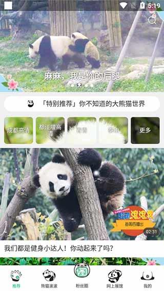 熊猫频道客户端截图2