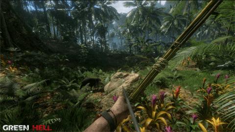 绿色地狱中文版截图0