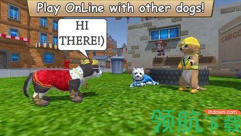 美国Zoom动物免费版