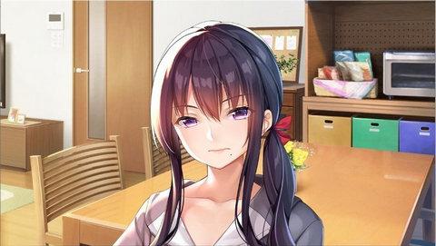 请停手吧姐姐大人要断了krkr版截图0