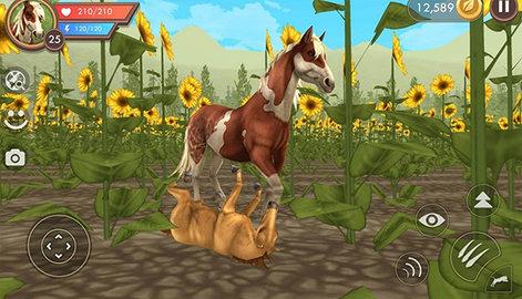 3D动物模拟器最新中文版截图2