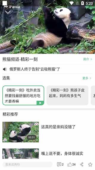 熊猫频道客户端截图3