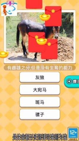 曲棍球高手游戏2021正式版截图2