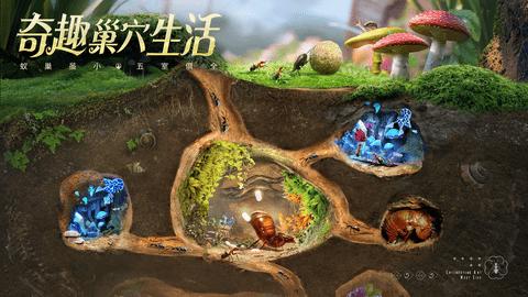 小小蚁国手游公测版