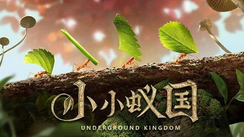 小小蚁国国际服内购破解版截图1