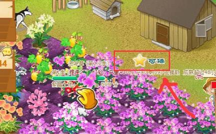 QQ农场2023最新版