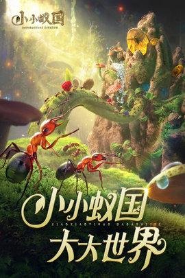 小小蚁国官方版