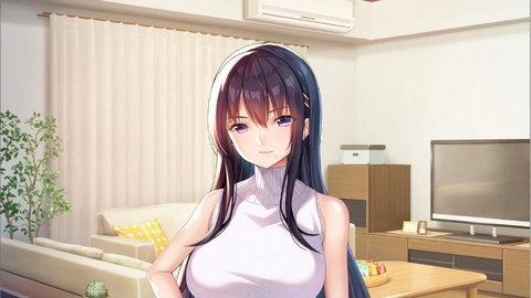 请停手吧姐姐大人要断了krkr版截图1