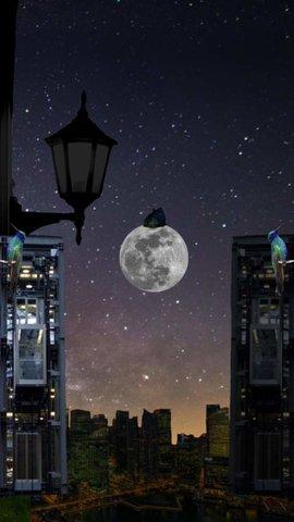 无梦房间游戏中文版截图2