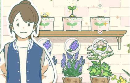 寄心茶屋无限金币版