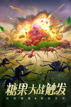 小小蚁国官方版