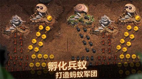 小小蚁国国际服内购破解版截图0