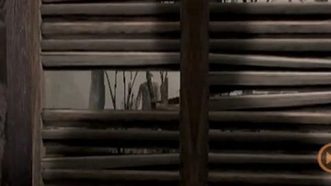 生化危机4手机版截图2