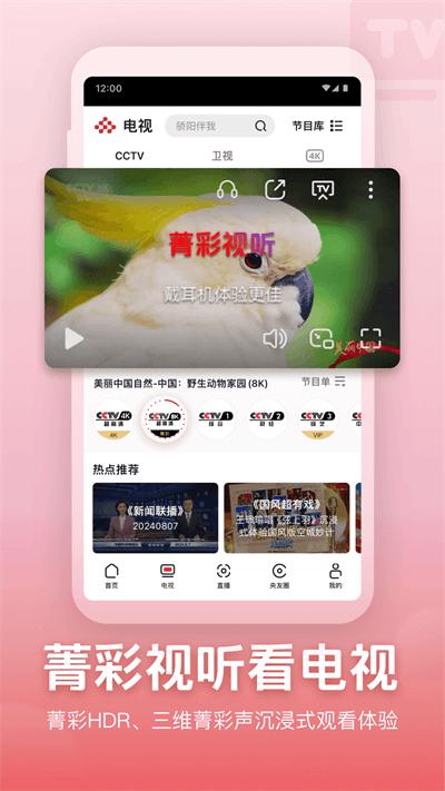 央视频截图0