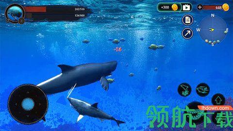 抹香鲸模拟器官方版