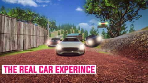 真正的速度赛车手机版