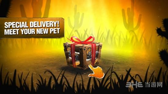 真正可怕的蜘蛛图片