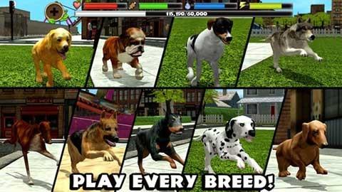 流浪狗模拟器游戏截图1