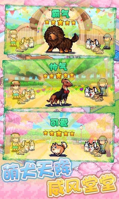 发现狗狗乐园安卓手机版截图0