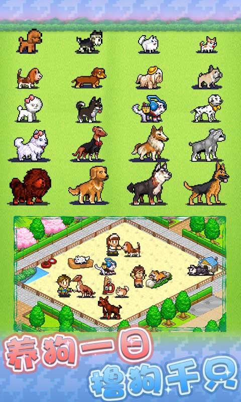 发现狗狗乐园安卓手机版截图1