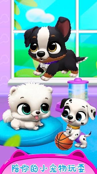 公主宠物小猫咪图片1