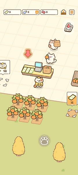 猫市游戏5