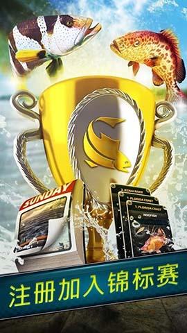 超真实钓鱼模拟截图2