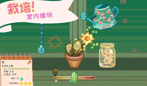 窗边花园无限金币不减反增版 安卓版v0.25.1截图3