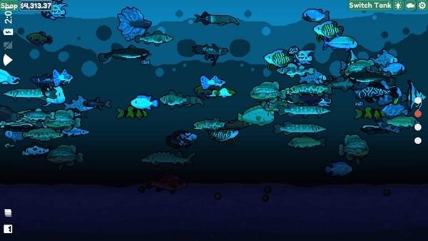 轻松水族馆 官方正版v1.1.3截图2