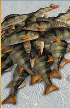 冰钓大师游戏图片6