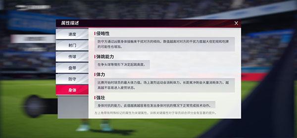 绿茵信仰官方版本5