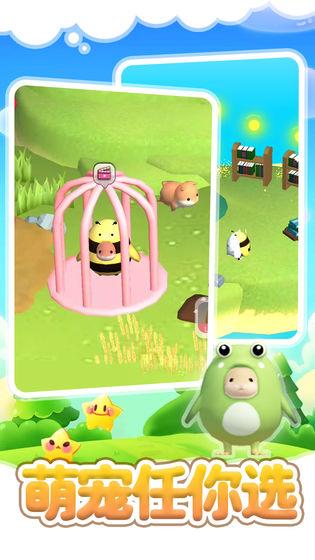 仓鼠岛 安卓版1.0.1截图1