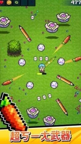 这是武器吗中文版截图2