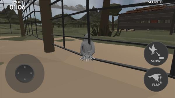 鸽子模拟 安卓版v1.0截图0