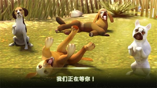 我的寄宿狗屋 (DogHotel)安卓版v2.1.10截图1