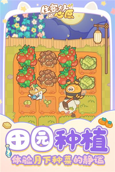 住客大人的心愿旧版 安卓版v1.1.0截图0