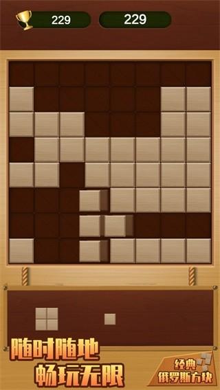 经典俄罗斯方块手机版 安卓版1.0.0截图3